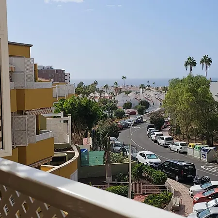 Orlando 85 Complex Easy *