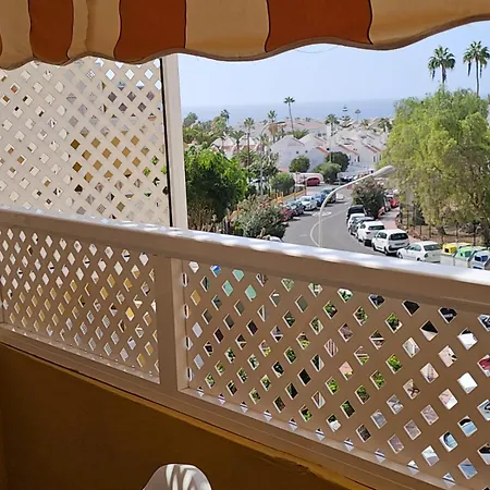 Orlando 85 Complex Easy 阿德耶