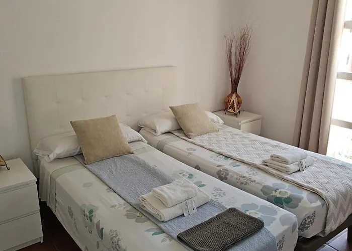 Orlando 85 Complex Easy أذيخي